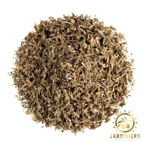 Damiana turnera Diffusa infusion vaporisation