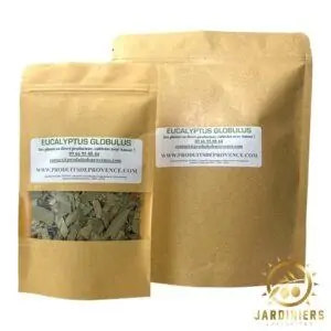 Eucalyptus globulus feuilles vrac alimentation infusion vaporisation